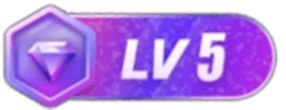 LV5 等级-LV5-亿动网络笔记